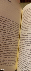  ˚₊‧ ꒰ა ☆ ໒꒱ ‧₊˚