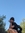 Ilay