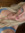 Abi Sheppard