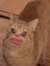 The Fatcat