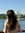 Selin Baytekin