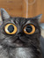 Nathalie