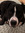 macy