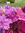 Grace | 0 comments