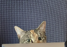 hiraa