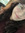 Clau Estefan