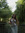 Maddie