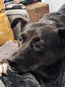 Sam