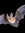 Elise 🦇
