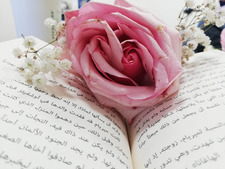 حبر و كلمة ✨غفران✨