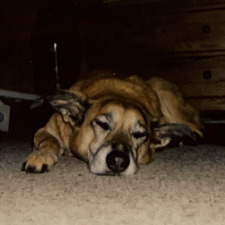 Sabrina