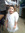 amy | 4 comments