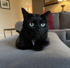 Abby
