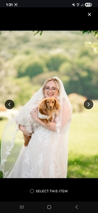 Taylor  Grace Wright 