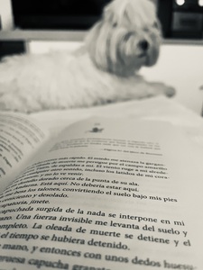 Maria Jose