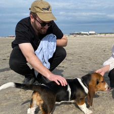 Raphael Schaarschmidt