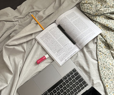 el&#x1f408;‍⬛&#x1f408;‍⬛