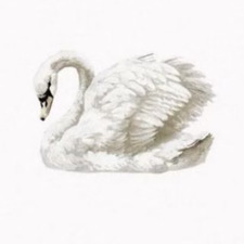 Olivia ✮⋆˙౨ৎ˙⋆