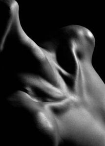 Eva Grey
