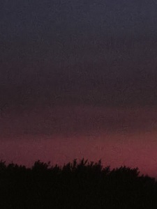 SM