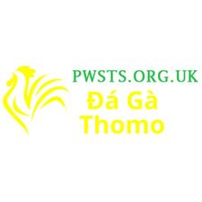 Đá Gà Trực Tiếp  Thomo