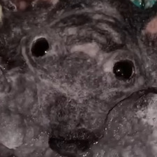 Ясминушка милашечка