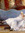 N | 1 comments