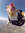 jacklyn wysszysysnssksski (thenovellocal) | 1 comments