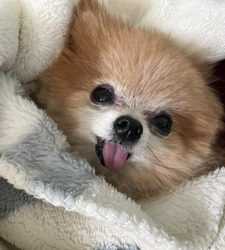 Etta b