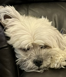 Books_the_Magical_Fruit