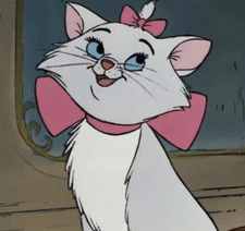 Mallory Napolillo