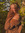 Maddy | 1 comments