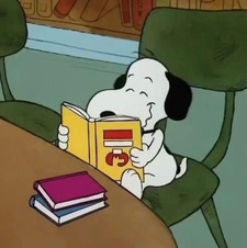 Francesca Acquistapace