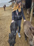 Gergana