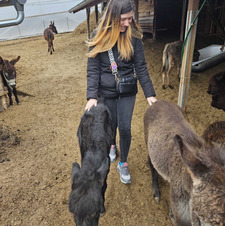Gergana