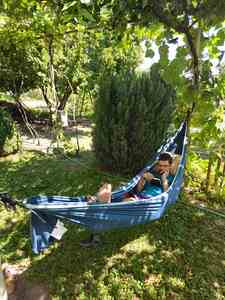 Владимир Вълчев