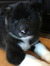 Addie;)