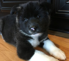 Addie;)