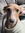Abby | 1 comments