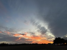 Early Rise