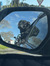 Gloria ...