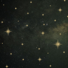 Carly ੈ✩‧₊˚