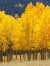 ~☆~Autumn 