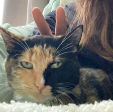 Fernanda Peña Letelier