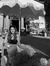 shannon