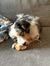 Riley Eng