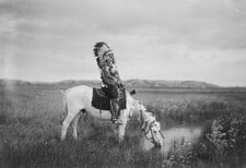 Ashton Alexander Webb