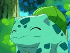 Bulba guy