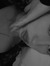Sofia P...