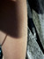 nurnour